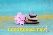 www.mindfulnessnow.co.uk